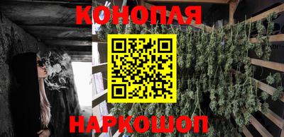 прущие крисы Кунгур
