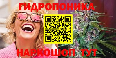 прущие крисы Кунгур