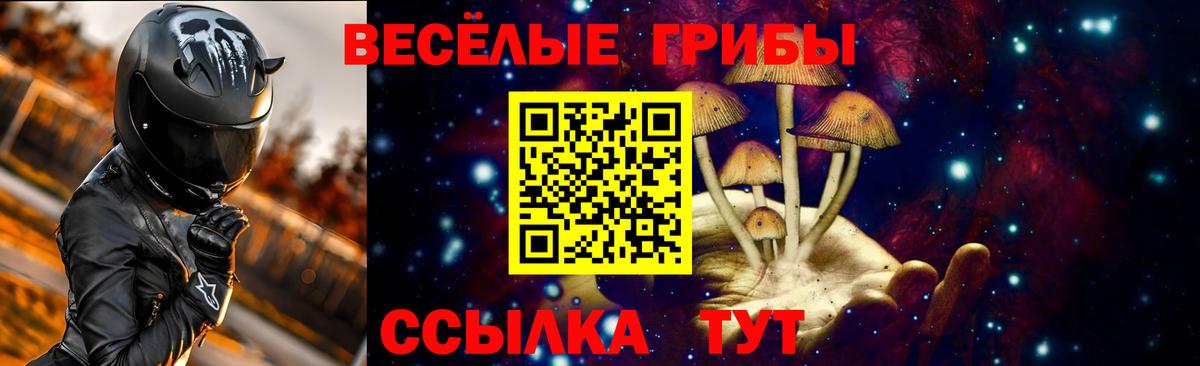 купить наркоту  Галлюциногенные грибы мухоморы  Ипатово  Вход с VPN  Псилоцибиновые грибы мухоморы 